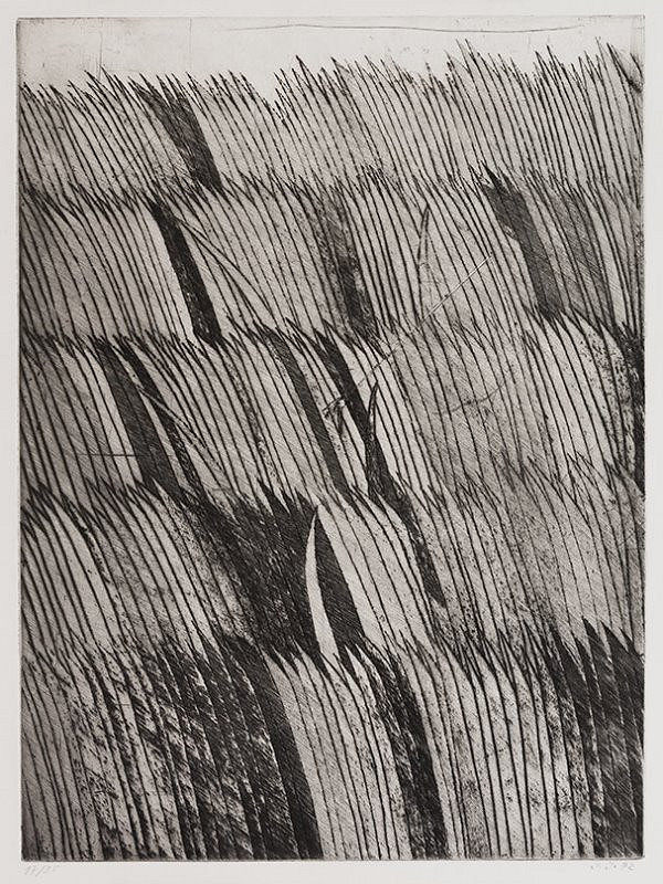 Jiří John – Tráva 