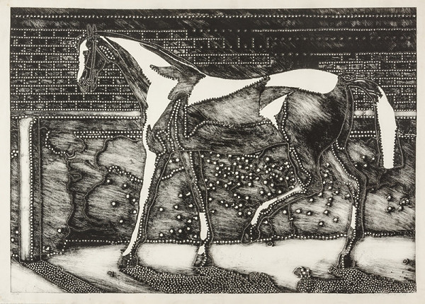 Alena Kučerová – Kůň 