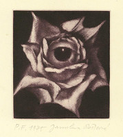 Jaroslava Pešicová – Novoročenka 