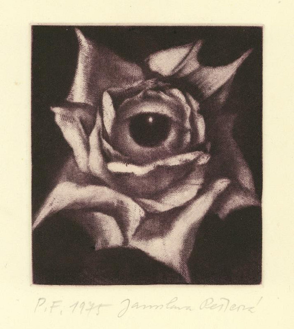 Jaroslava Pešicová – Novoročenka 