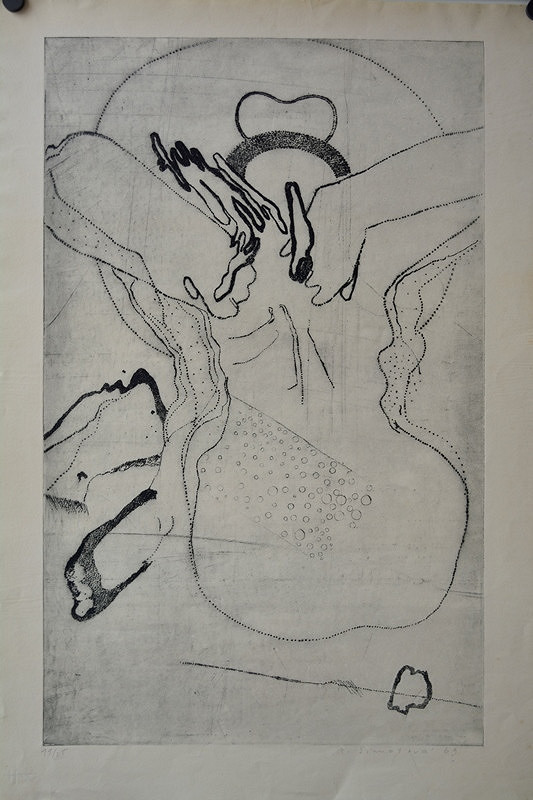 Adriena Šimotová – Dívejme se do slunce 