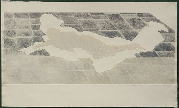 Adriena Šimotová – Pád 