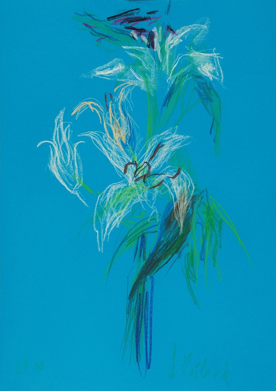 Jitka Válová – Bílá lilie 