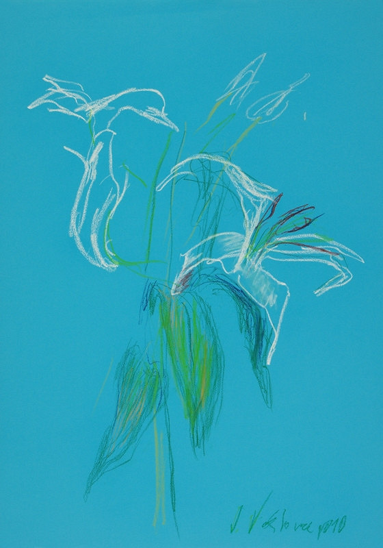 Jitka Válová – Královská 