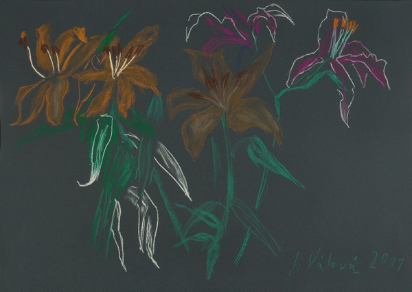 Jitka Válová – Lilie 