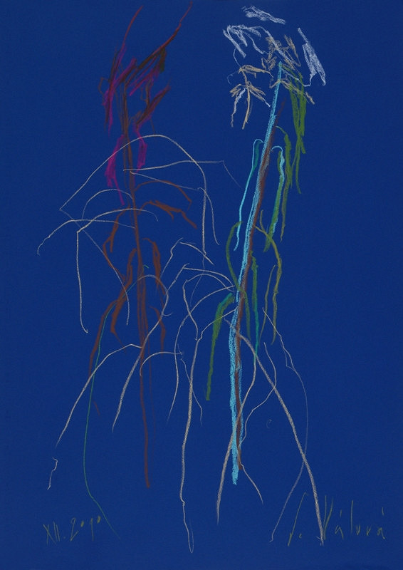 Jitka Válová – Uschlé lilie 