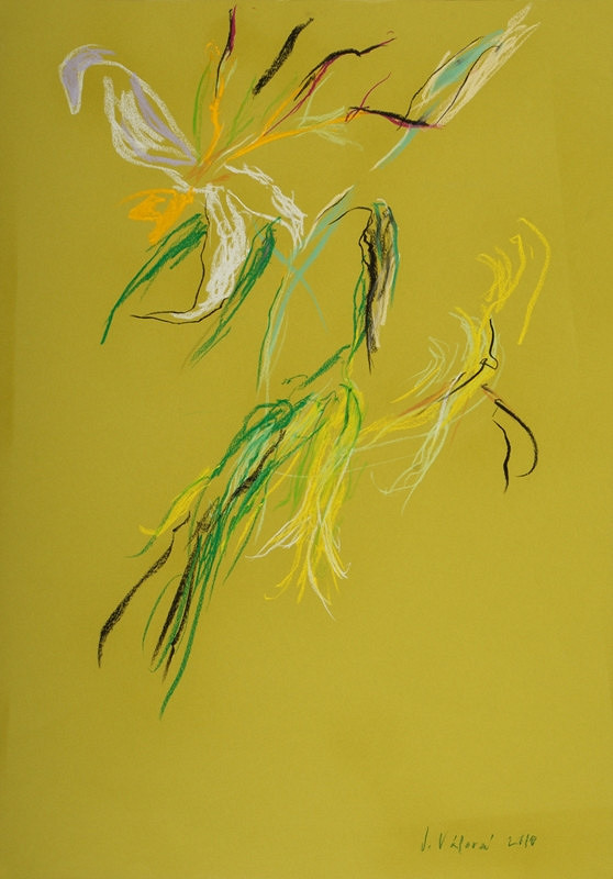 Jitka Válová – Lilie 