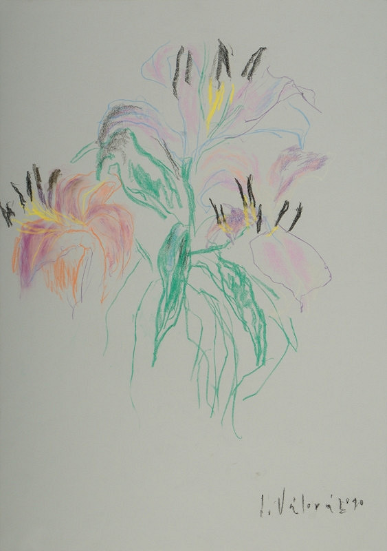 Jitka Válová – Růžová lilie 