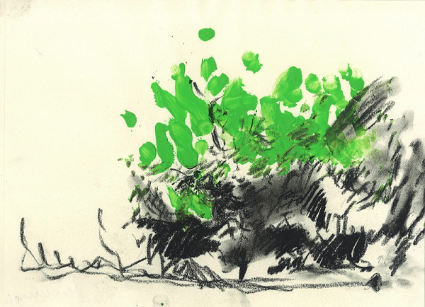 Mariana Alasseur – Keře - Počedělice VI 