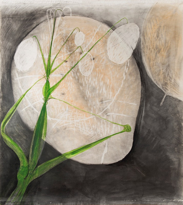 Karel Pauzer – Bledé tváře 