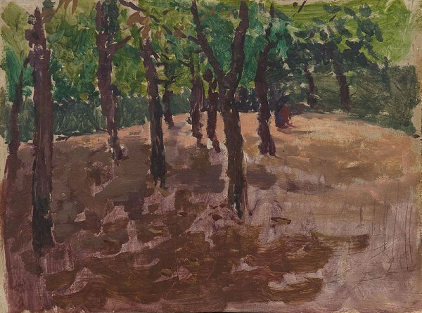 Antonín Slavíček – Na Letné 