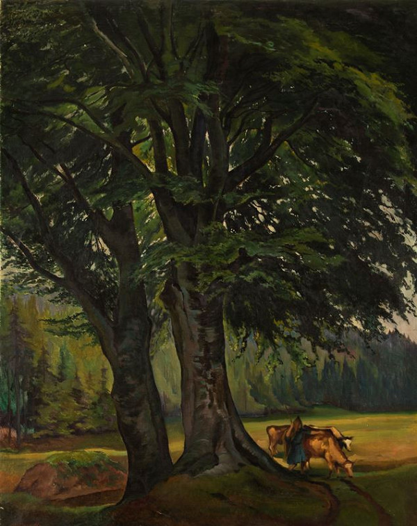 Otakar Nejedlý – Buky 