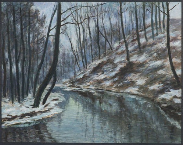 Antonín Hudeček – Les v zimě 