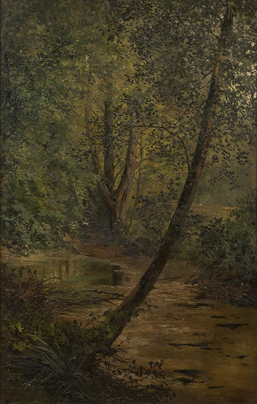 Václav Březina – Lesní tůňka 