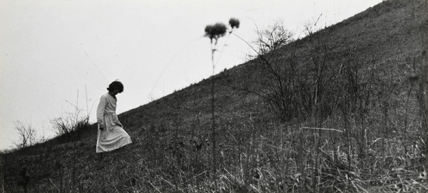 Miloš Šejn – Současnost 