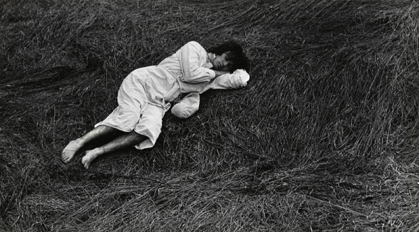 Miloš Šejn – Současnost 