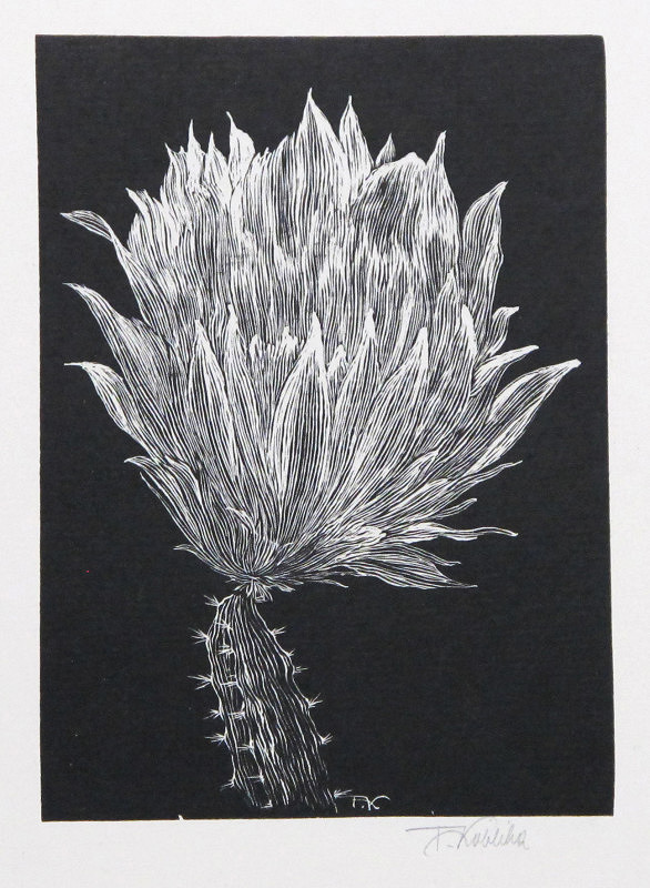 František Kobliha – Červený květ 