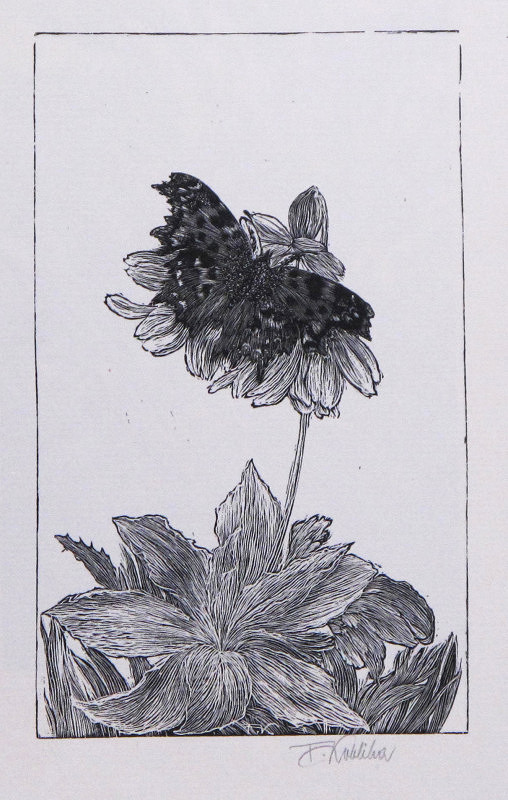 František Kobliha – Bílé C – Vanessa C album 