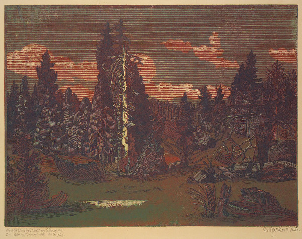 Anna Macková – Weitfällerská Slať na Šumavě 