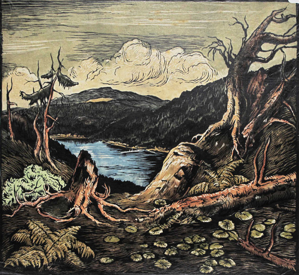 Josef Krejsa – Jezero Plešné 