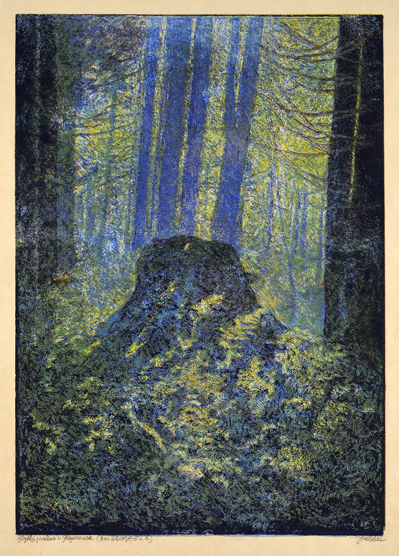 Josef Váchal – Zbytky pralesa v Gayerruck 