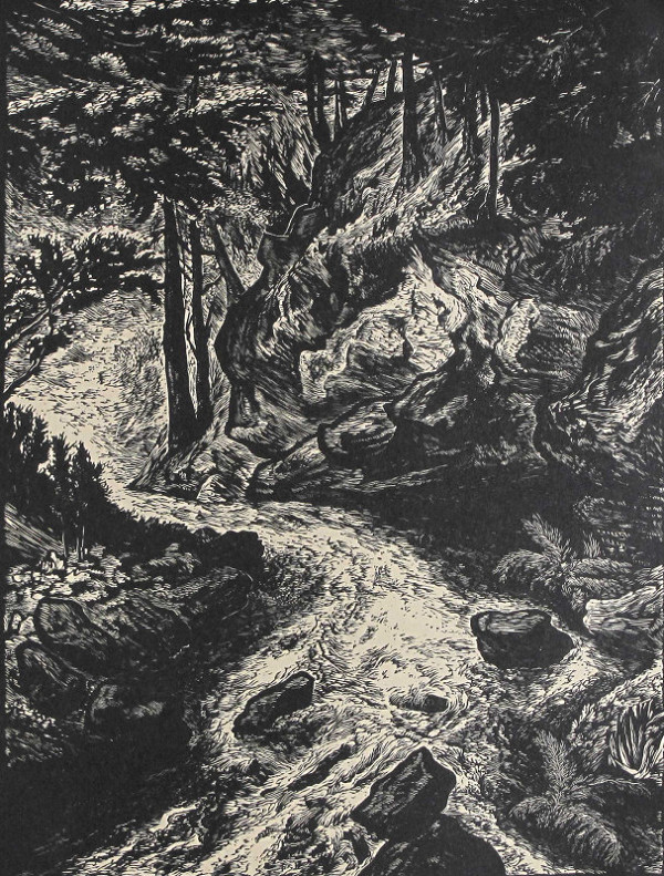 Josef Michl – Lesní zátiší 