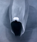 Petr Nikl – Orchidej V 