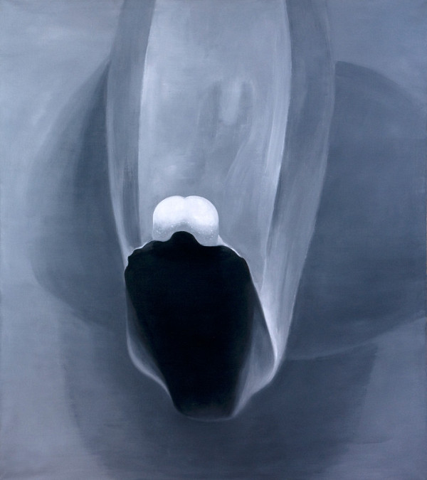 Petr Nikl – Orchidej V 