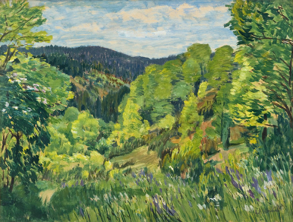 Antonín Hudeček – Lesní stráň 