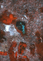 Jaroslav Šerých – Metamorfózy 