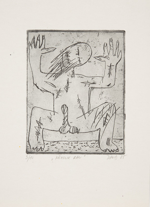 Jiří David – Několik ran 