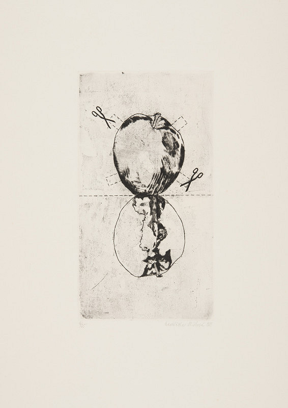 Naděžda Plíšková – Bez názvu 