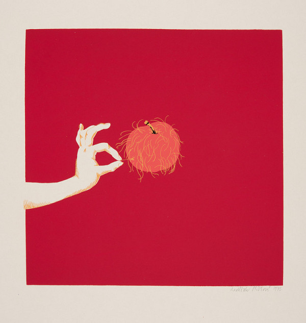 Naděžda Plíšková – Bez názvu 