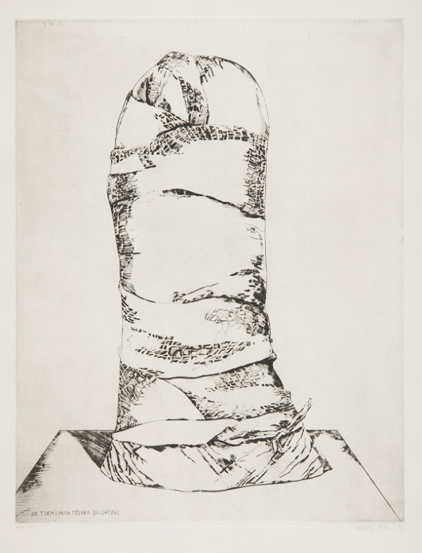 Naděžda Plíšková – Na téma pana Césara (Baldacini) 