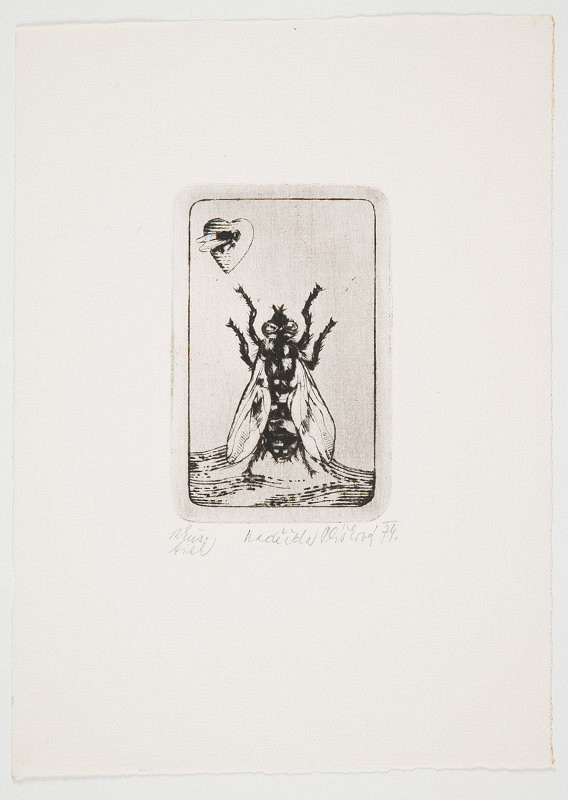 Naděžda Plíšková – Bez názvu 