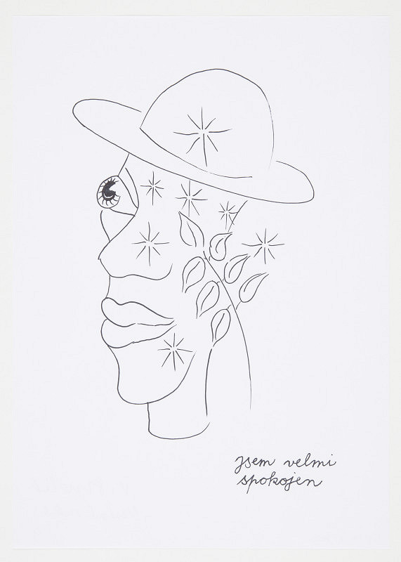 Michal Nesázal, Václav Stratil – Jsem velmi spokojen 