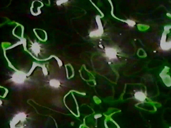 Miloš Šejn – G/SOL 