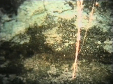 Miloš Šejn – Rokle (Pronikání jeskyní, Ozvěny, Pramen) 