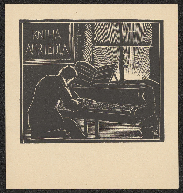 Helena Bochořáková-Dittrichová – Kniha A. Friedla 