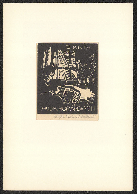 Helena Bochořáková-Dittrichová – Z knih MUDr. Horákových 