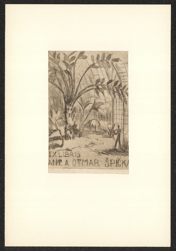 Helena Bochořáková-Dittrichová – Exlibris Ant. a Otmar Špička 