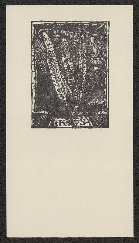 Dušan Kállay – K.Š. (Tri pierka páva). in Dušan Kállay exlibrisy. Tatran Bratislava, 1979 