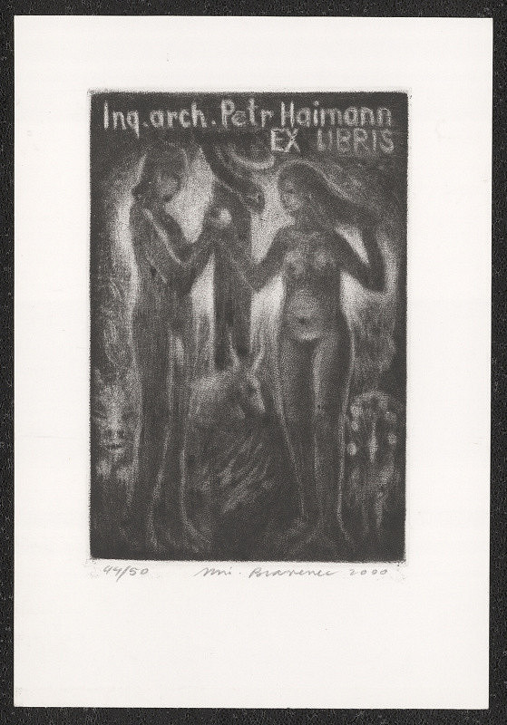 Miroslav Bravenec – Ex libris ing. arch. Petr Haimann 