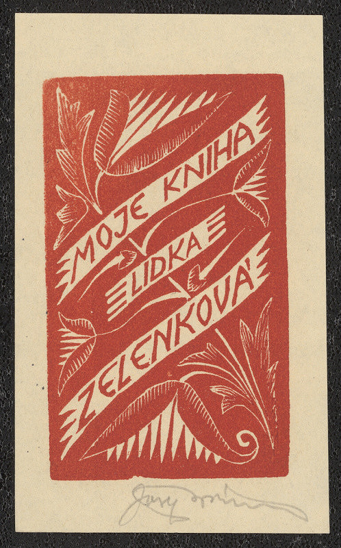 Josef Brzák – Moje kniha Lidka Zelenková 