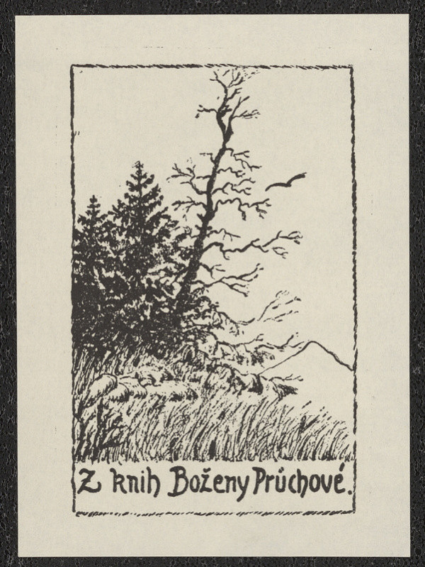 Václav Bukač – Z knih Boženy Průchové 