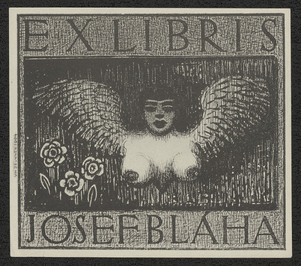 Vratislav Hugo Brunner – Ex libris Josef Bláha 