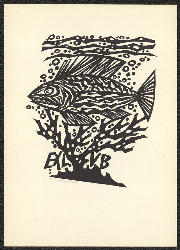 Vojtěch Cinybulk – Exl. VB (Vlad. Bujárek) 