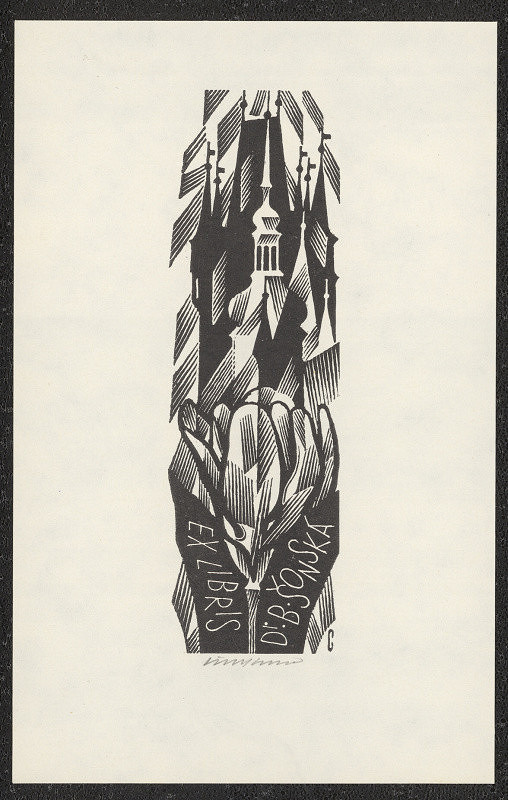 Vojtěch Cinybulk – Ex libris D. B. Šonská 