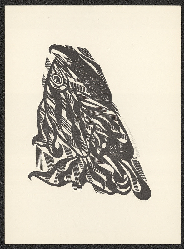 Vojtěch Cinybulk – EXL* František Rybář 