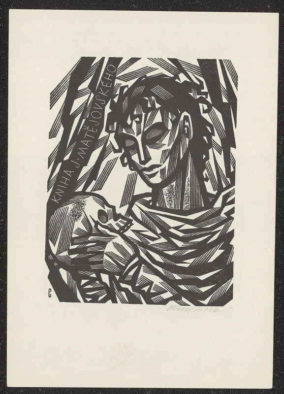 Vojtěch Cinybulk – Kniha J. Matějovského 